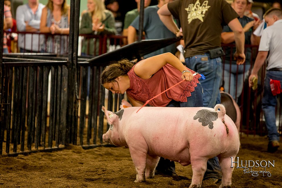 LCFAIR-081618-6035.jpg