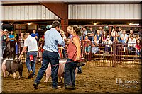 LCFAIR-081618-6023.jpg