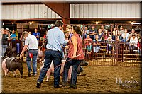 LCFAIR-081618-6024.jpg