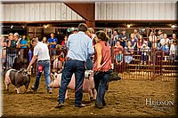 LCFAIR-081618-6026.jpg