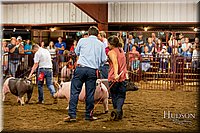 LCFAIR-081618-6027.jpg