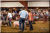 LCFAIR-081618-6029.jpg
