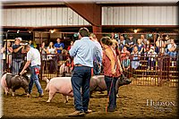 LCFAIR-081618-6030.jpg