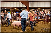 LCFAIR-081618-6031.jpg
