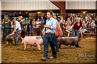 LCFAIR-081618-6032.jpg