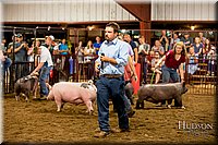 LCFAIR-081618-6033.jpg
