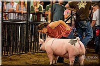 LCFAIR-081618-6037.jpg