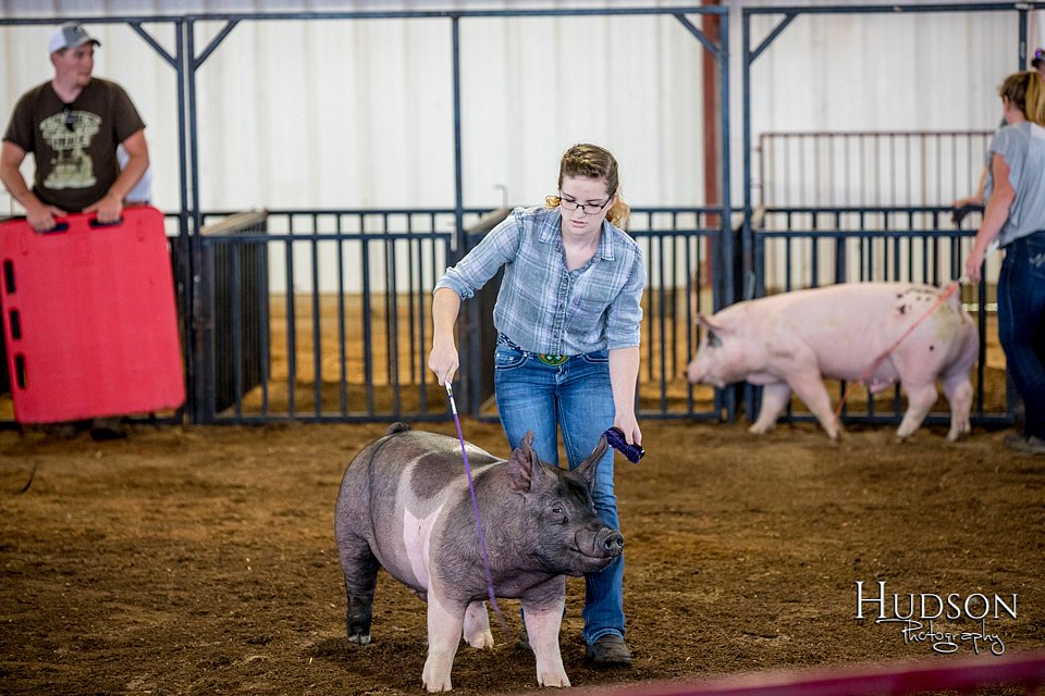 LCFAIR-081618-5163.jpg