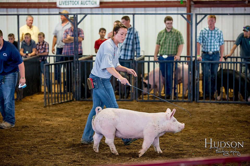 LCFAIR-081618-5226.jpg