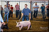 LCFAIR-081618-5197.jpg