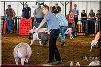LCFAIR-081618-5201.jpg