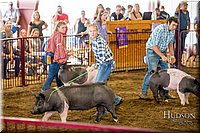 LCFAIR-081618-5205.jpg