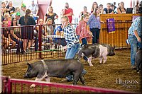 LCFAIR-081618-5206.jpg