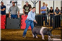 LCFAIR-081618-5208.jpg