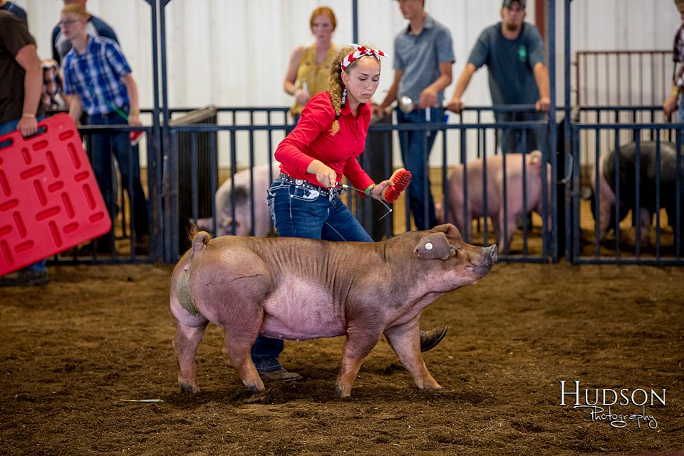 LCFAIR-081618-5312.jpg