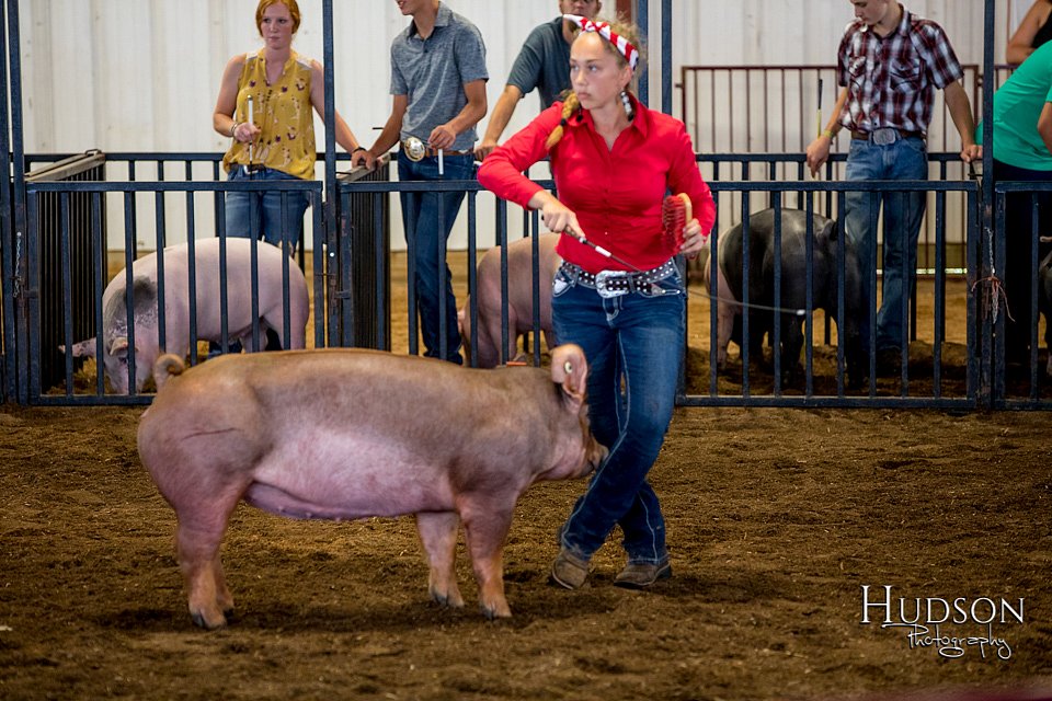LCFAIR-081618-5313.jpg