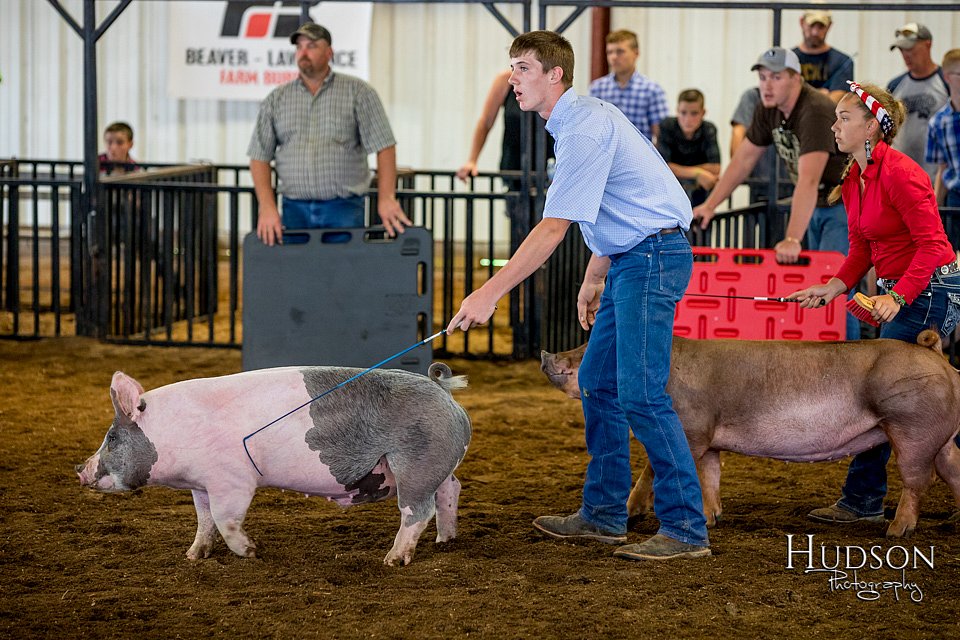 LCFAIR-081618-5314.jpg