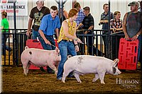 LCFAIR-081618-5271.jpg