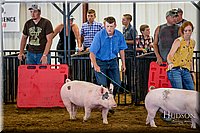 LCFAIR-081618-5272.jpg