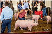 LCFAIR-081618-5306.jpg