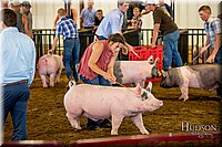 LCFAIR-081618-5307.jpg