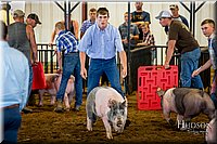 LCFAIR-081618-5308.jpg