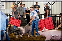 LCFAIR-081618-5310.jpg