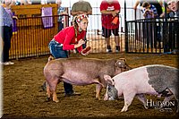 LCFAIR-081618-5311.jpg