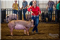 LCFAIR-081618-5313.jpg