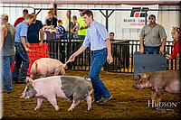 LCFAIR-081618-5315.jpg