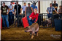 LCFAIR-081618-5318.jpg