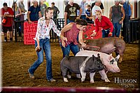 LCFAIR-081618-5320.jpg