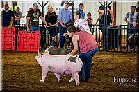 LCFAIR-081618-5329.jpg