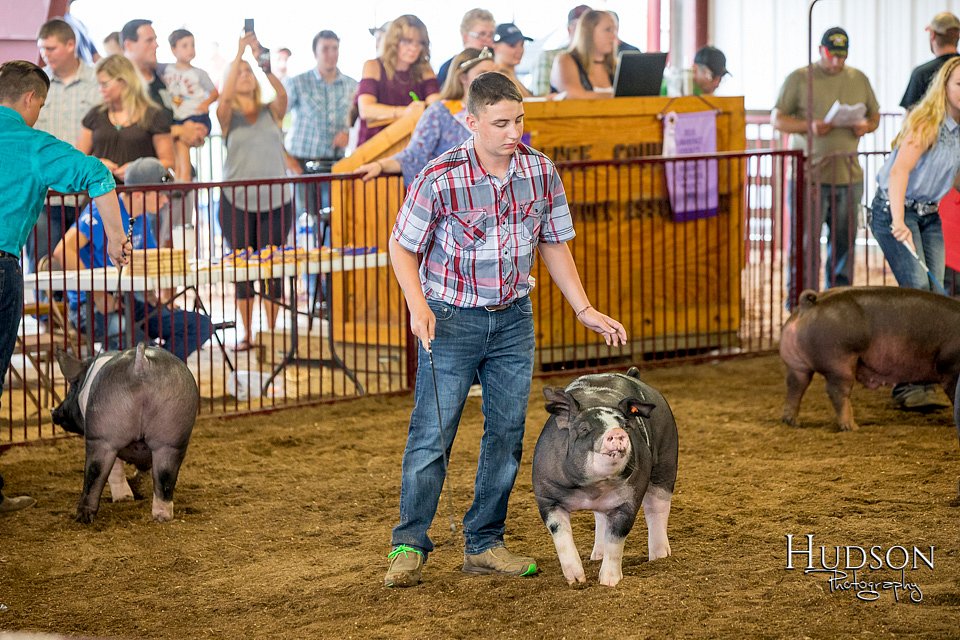 LCFAIR-081618-5411.jpg