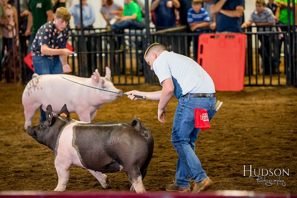 LCFAIR-081618-5437.jpg