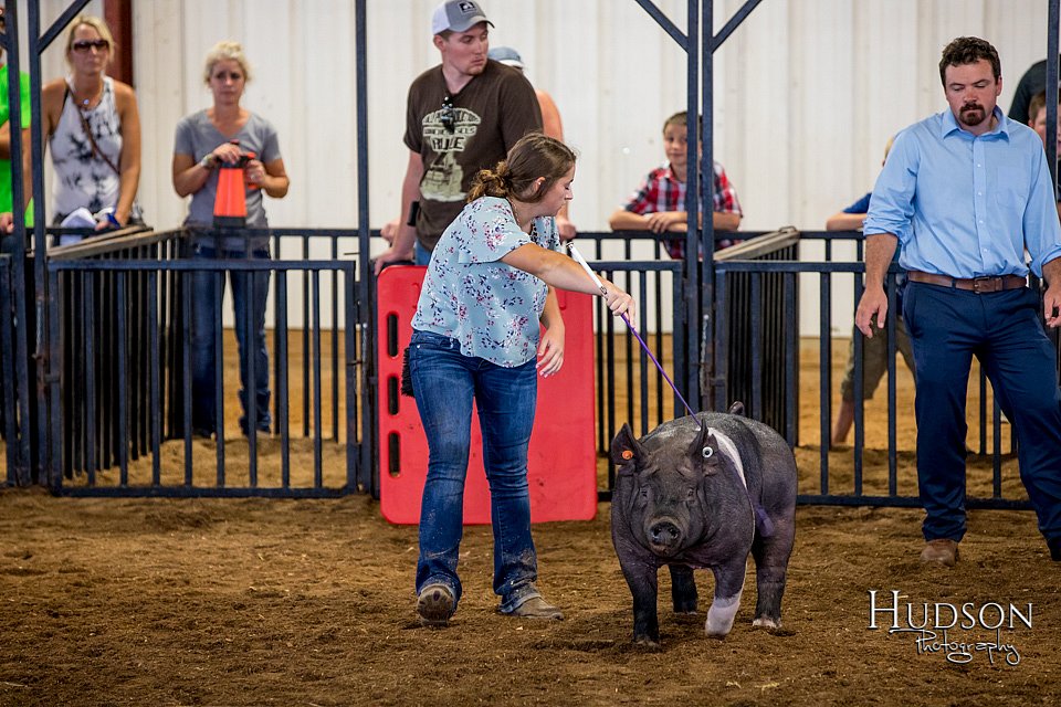 LCFAIR-081618-5448.jpg