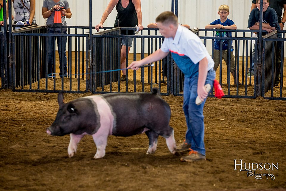 LCFAIR-081618-5454.jpg