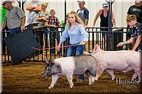 LCFAIR-081618-5408.jpg