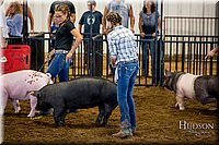 LCFAIR-081618-5422.jpg