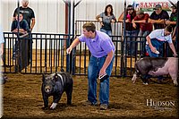 LCFAIR-081618-5449.jpg