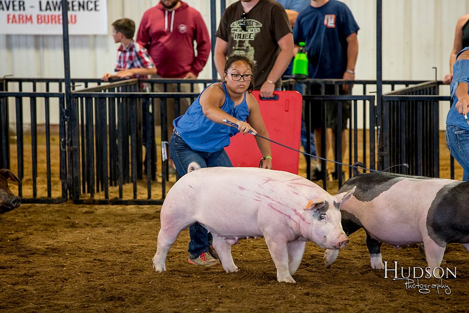 LCFAIR-081618-5525.jpg