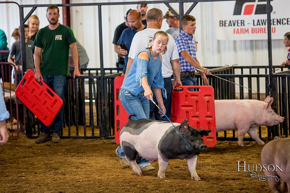 LCFAIR-081618-5532.jpg