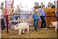 LCFAIR-081618-5495.jpg