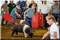 LCFAIR-081618-5501.jpg