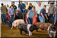 LCFAIR-081618-5502.jpg