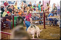 LCFAIR-081618-5503.jpg