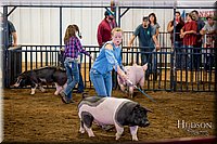 LCFAIR-081618-5507.jpg