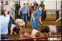 LCFAIR-081618-5508.jpg