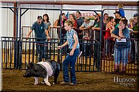 LCFAIR-081618-5510.jpg