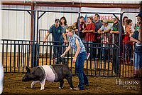 LCFAIR-081618-5511.jpg